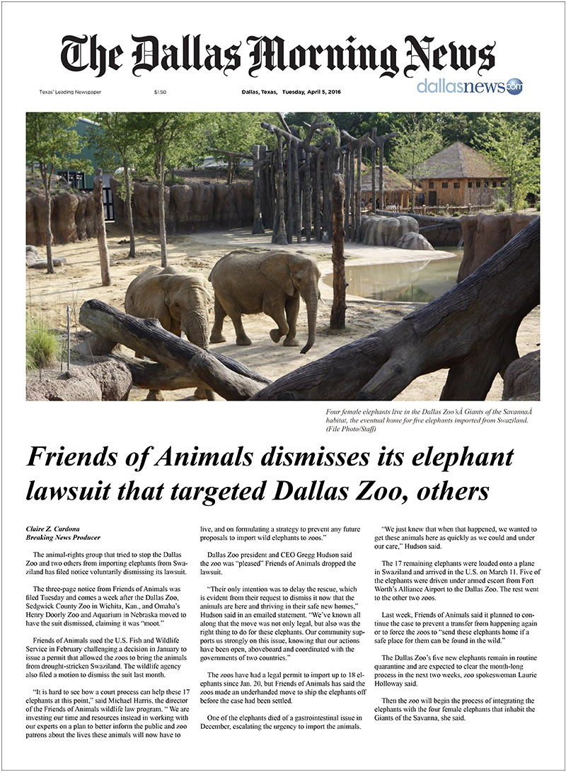 Dallas Zoo - Allyn Media - Giants of the Savanna - Dallas Morning News