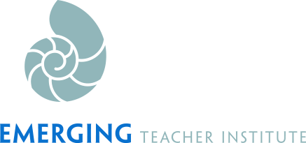Emerging Teacher Institute, UNT Dallas, Allyn Media
